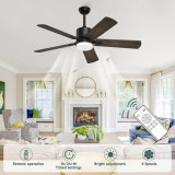 Ceiling Fans with Lights and Remote, Outdoor Black Fan with Lights