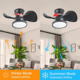 ClipDitty Black Quiet Ceiling Fan with LED Light 22" Large Air Volume Remote Control